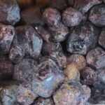 Tumbled Garnet