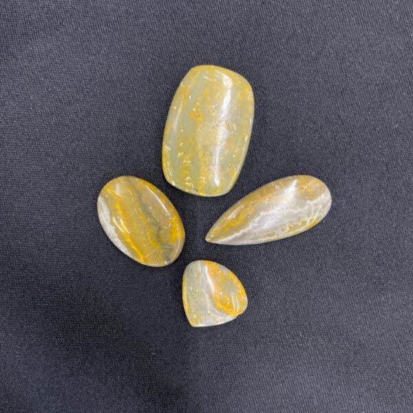 Bumble Bee Jasper Cabochon