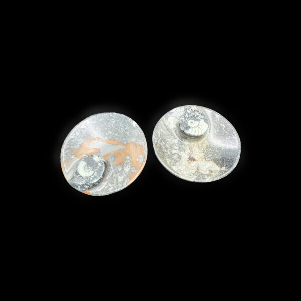 Ammonite Dish