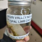 Opal Limb Cast
