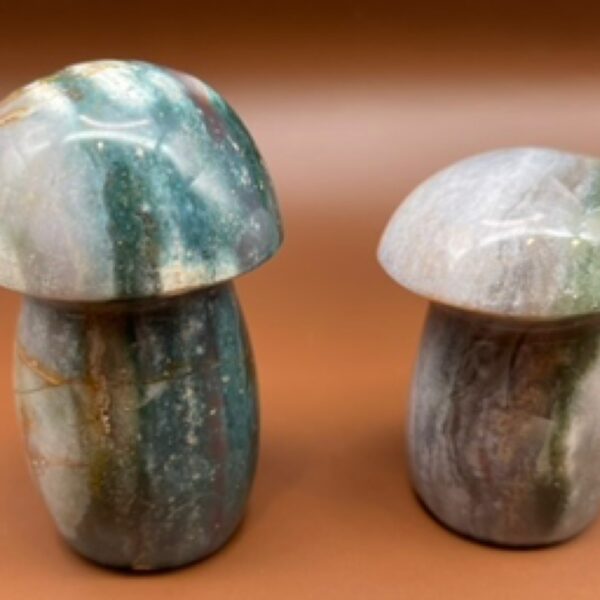 Moss Agate Mushroom