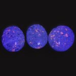 Emberlite (Yooperlite) Sphere