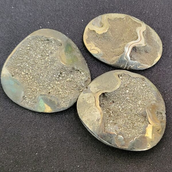 German Pyritized Ammonite Cab