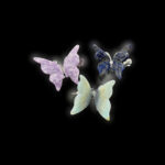 Butterfly Clip