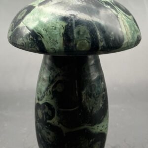 Kambaba Jasper Mushroom