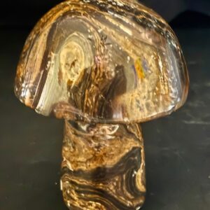 Stromatolite Mushroom