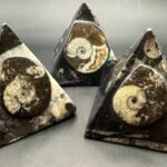 Fossil Pyramid