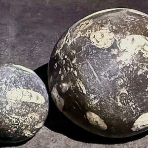 Fossil Sphere