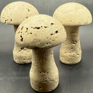 Travertine Mushroom