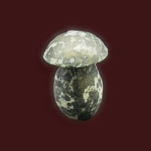 Indigo Gabbro Mushroom