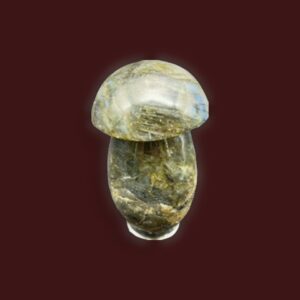 Labradorite Mushroom