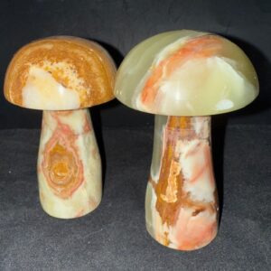 Onyx Mushroom