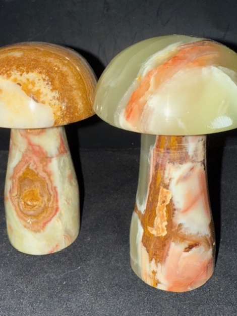 Onyx Mushroom