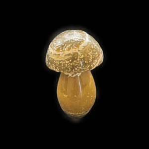 Orbicular Jasper Mushroom