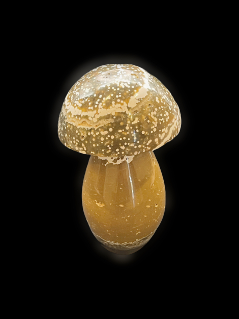 Orbicular Jasper Mushroom