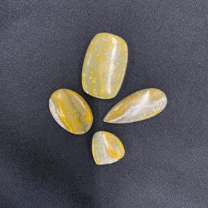 Bumble Bee Jasper Cabochon