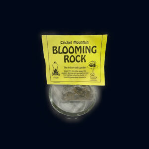 Blooming Rock Garden