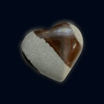 Narmada Heart