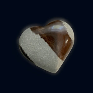 Narmada Heart