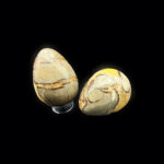 Septarian Nodule Egg