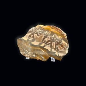 Polished Outback Jasper