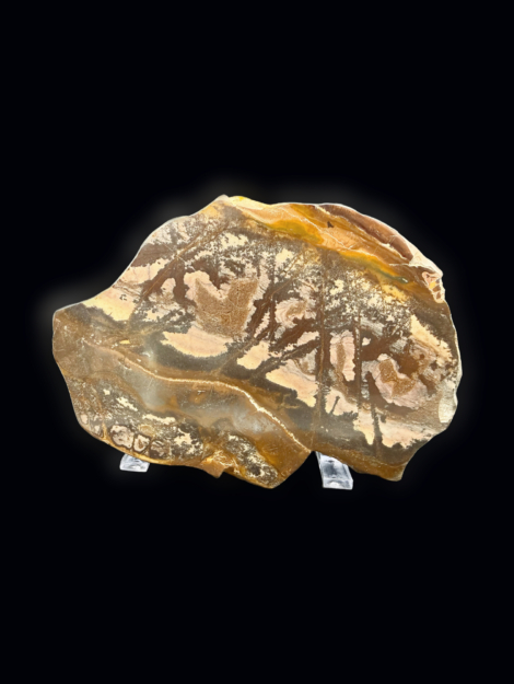 Polished Outback Jasper